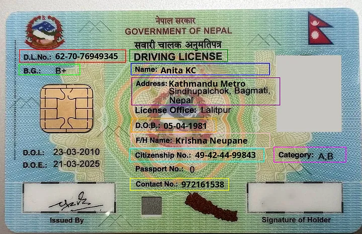 Example of a synthetic license with labeled fields used for model training